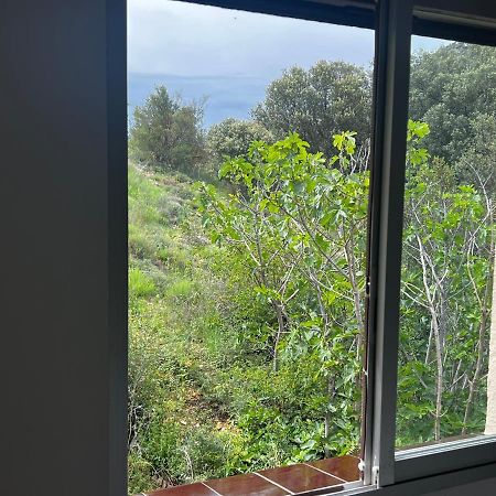 Apartaments La Pertusa 2O Corca  Esterno foto